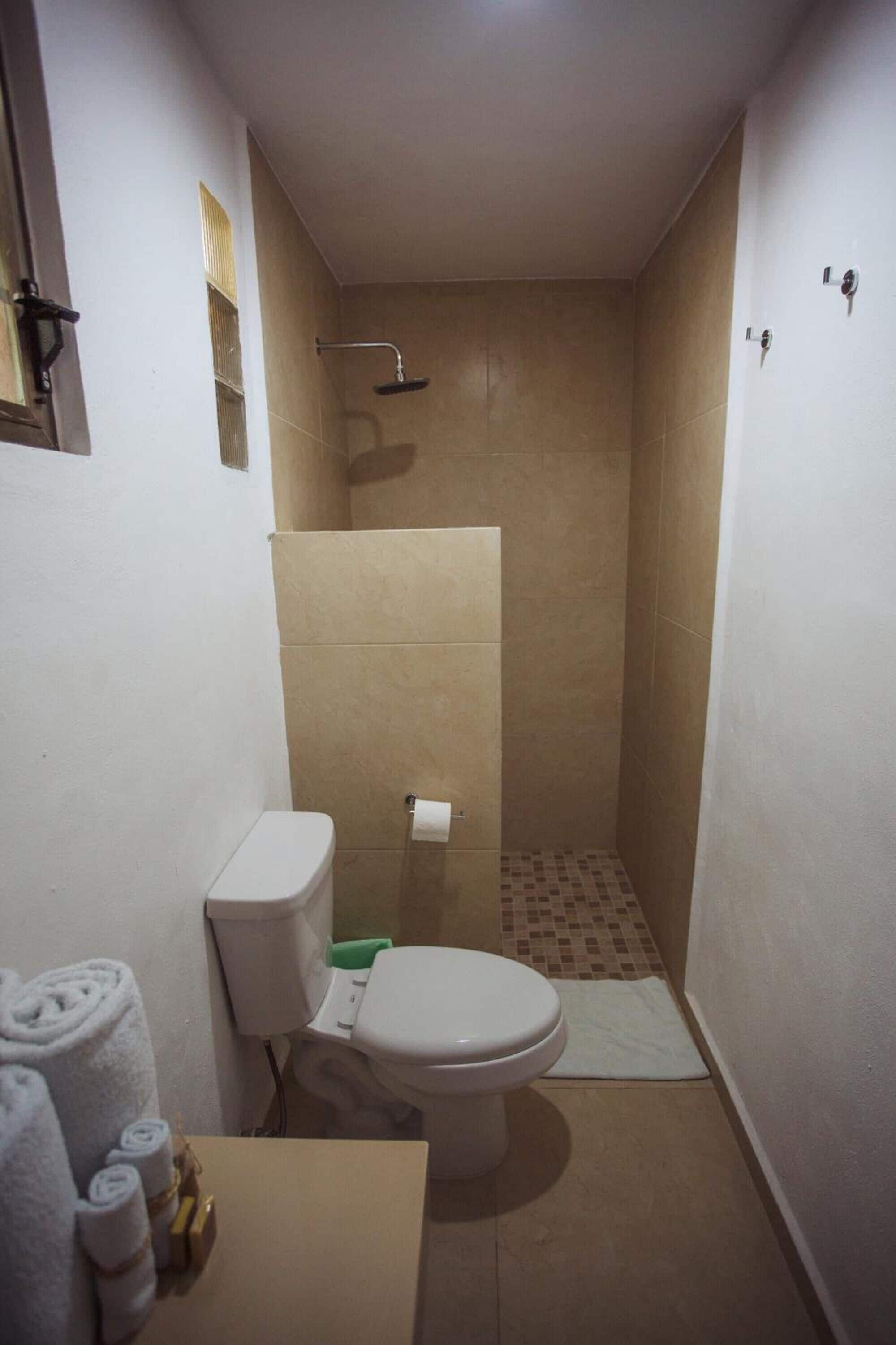 shower, free toiletries, hair dryer, towels