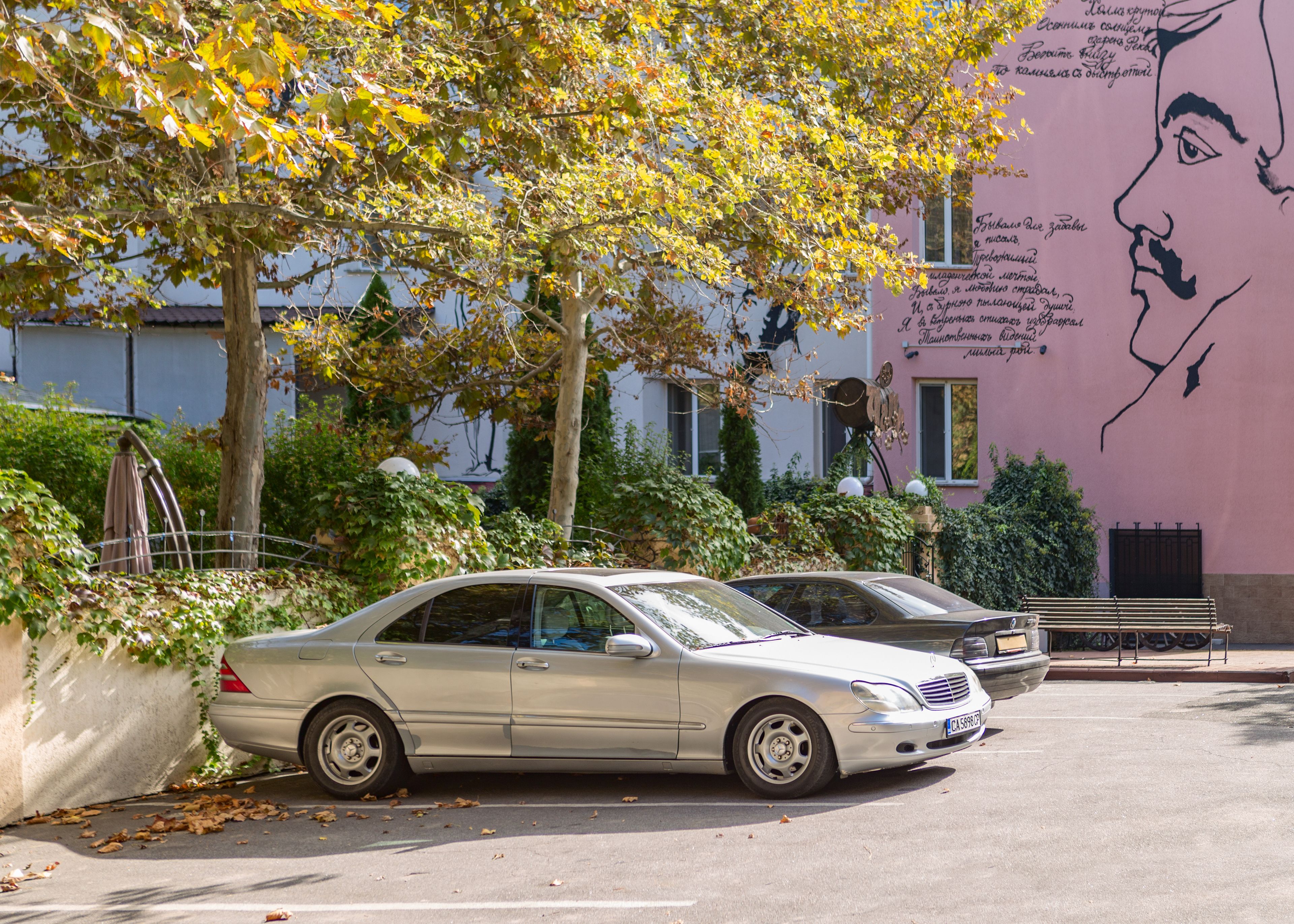 Un espace de stationnement avec deux voitures, un bâtiment orné d’une fresque murale et un arbre aux feuilles jaunes.