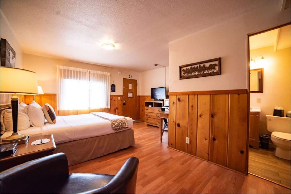 A bedroom with a bed, bedside table, lamp, wooden wardrobe, desk, chair, and a television.