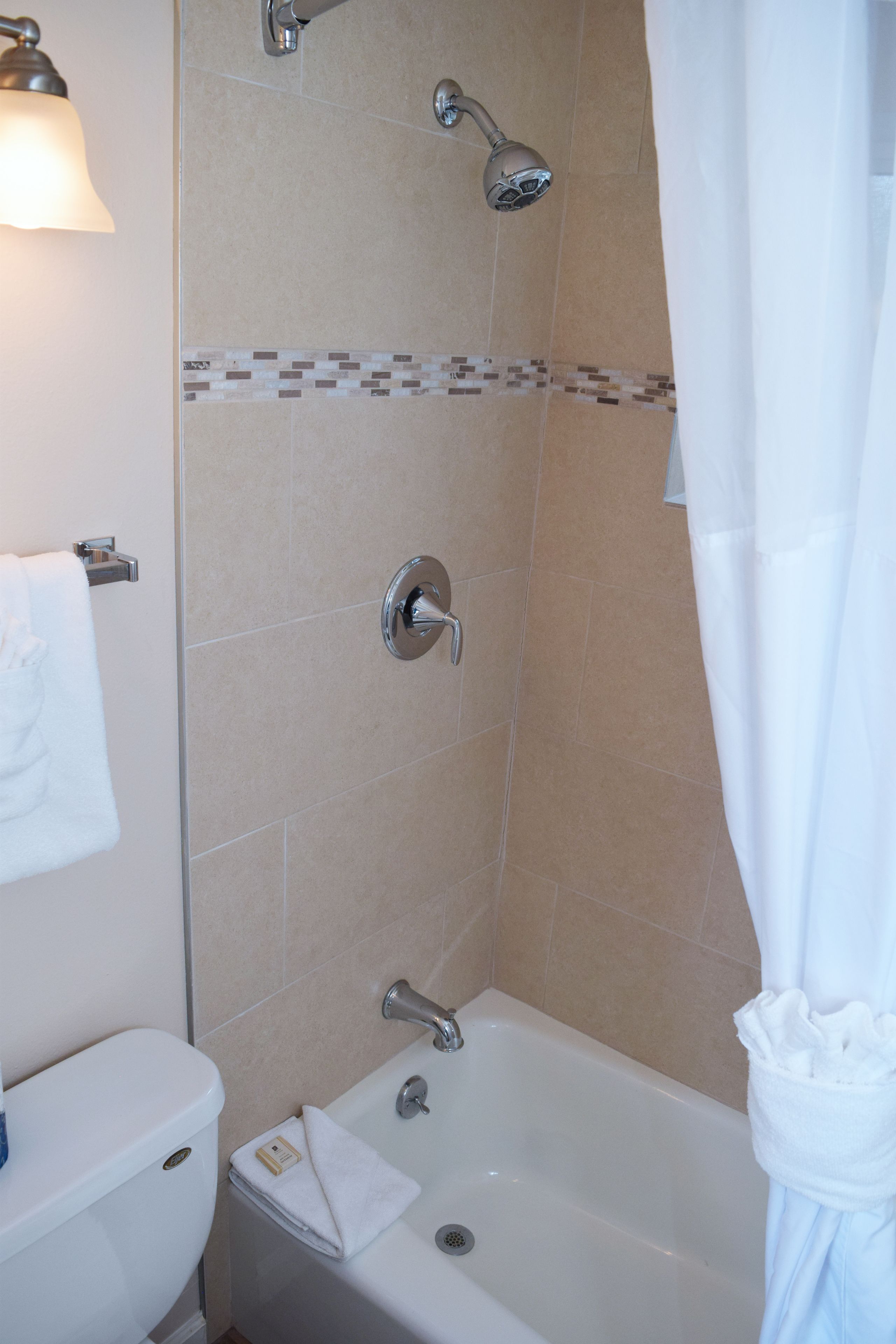A bathroom with a shower, toilet, and bathtub.