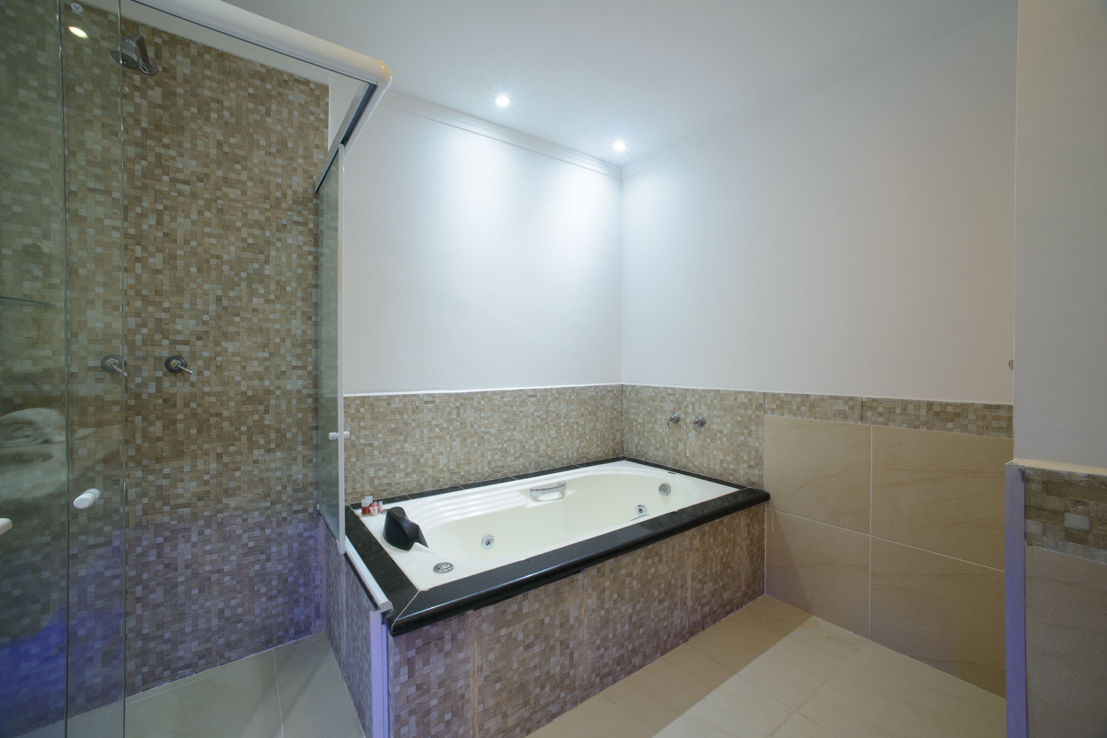 suite (master) | private spa tub