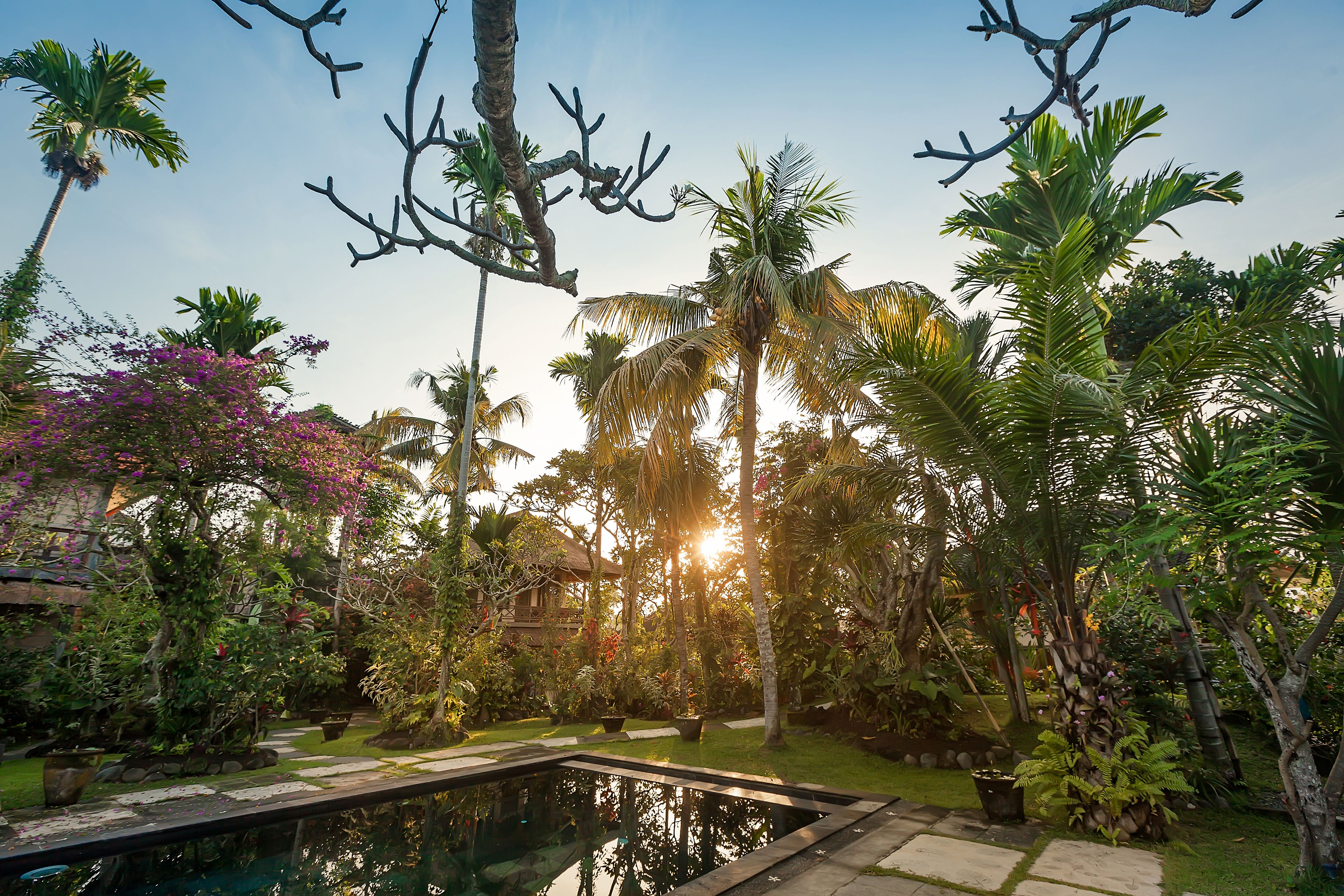 Family Room | Garden view