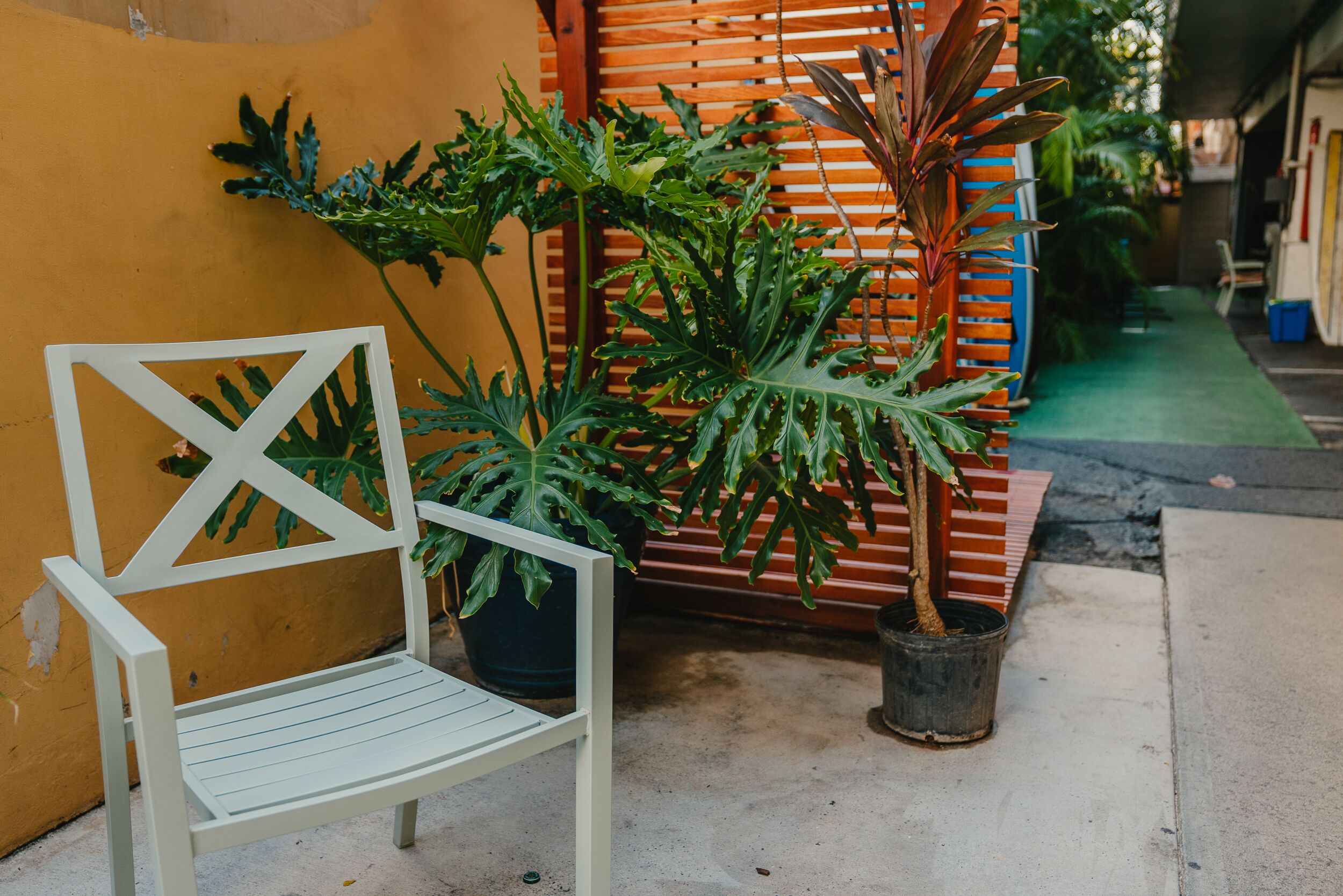 Foto - Polynesian Hostel Beach Club