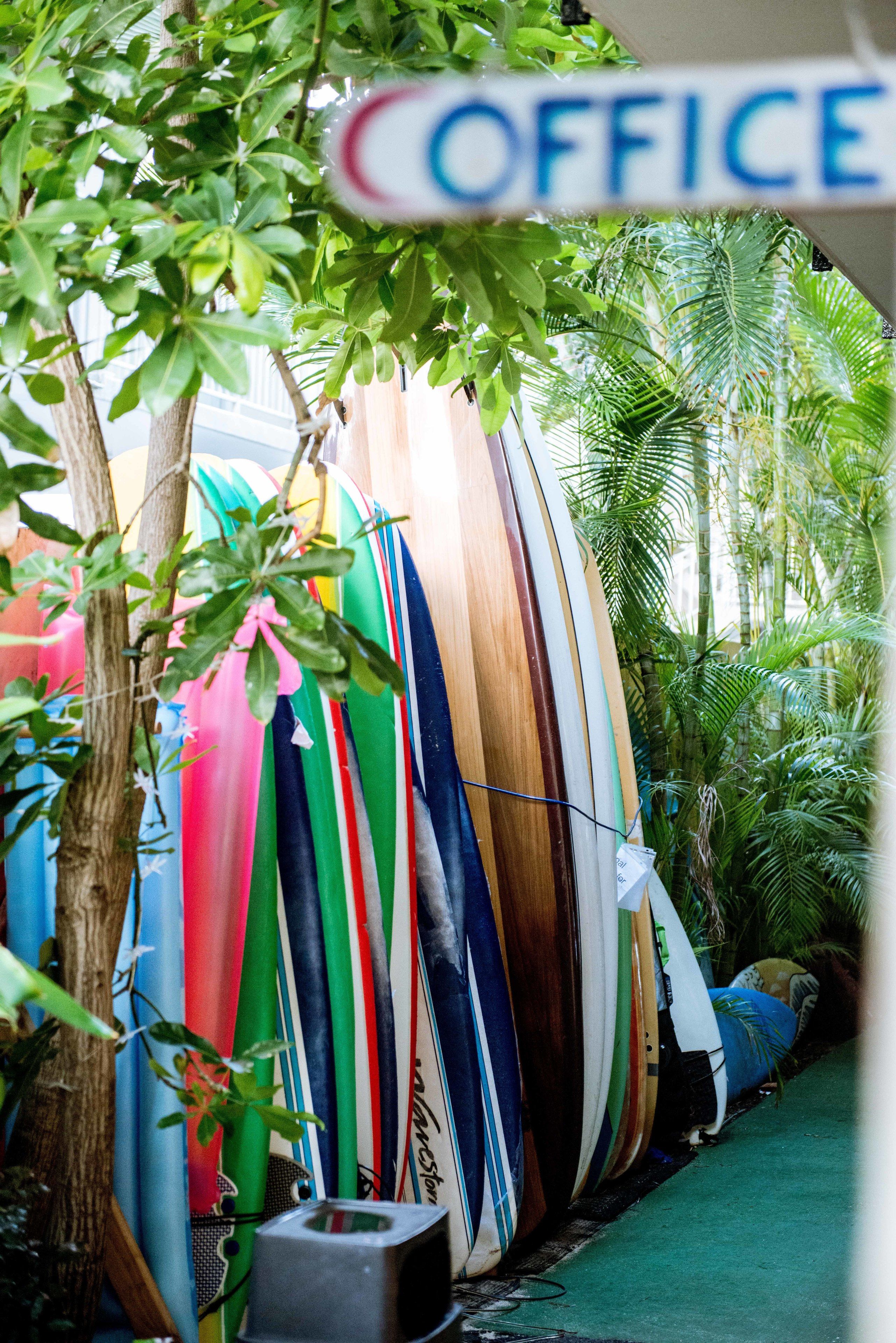 Foto - Polynesian Hostel Beach Club