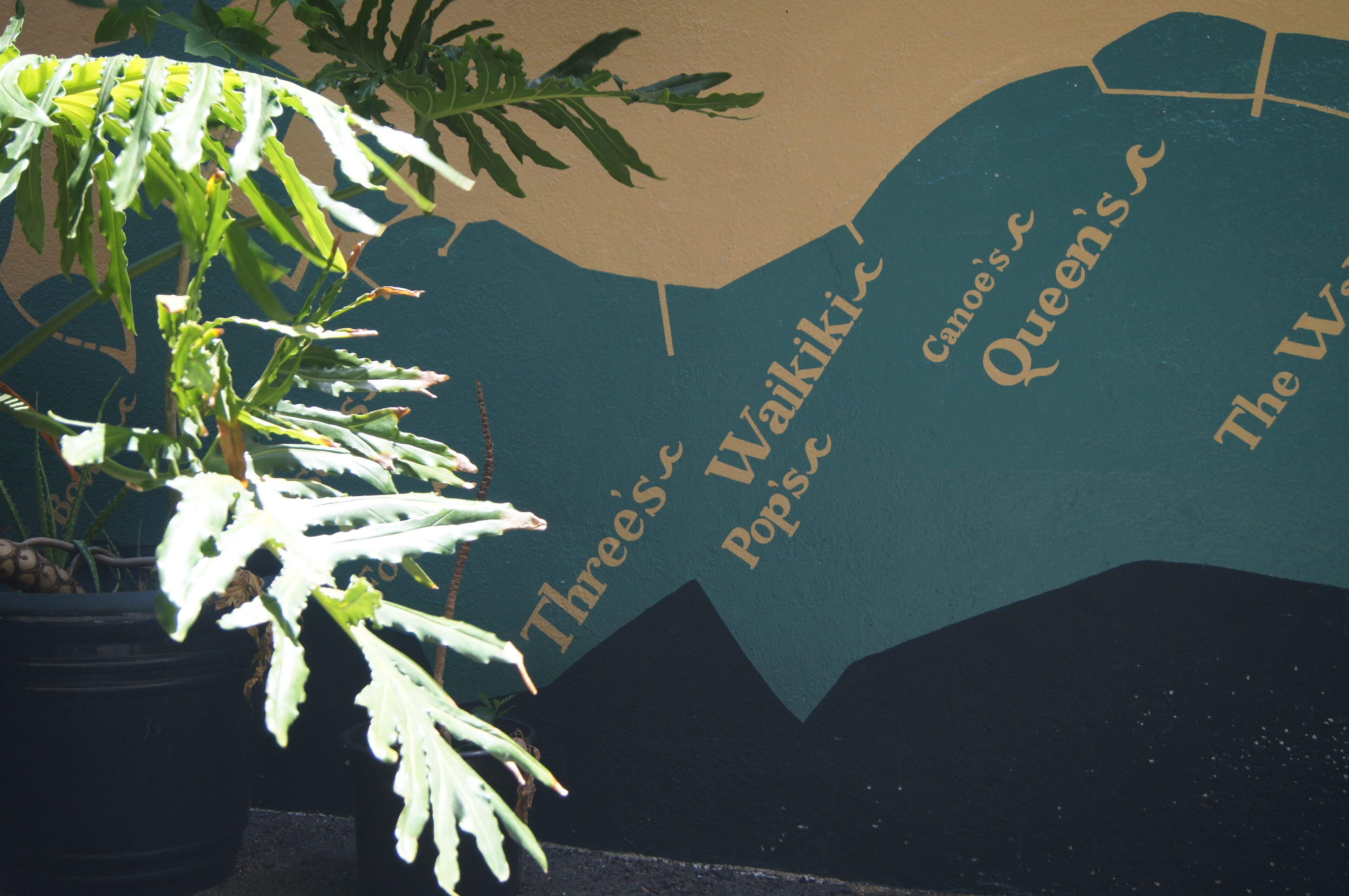 Foto - Polynesian Hostel Beach Club