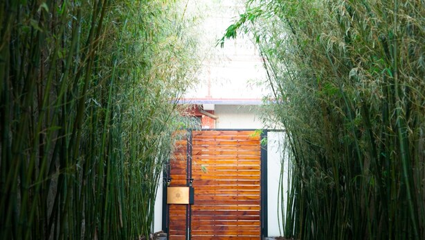 Un sentier bordé de hauts bambous qui mène à une porte en bois.