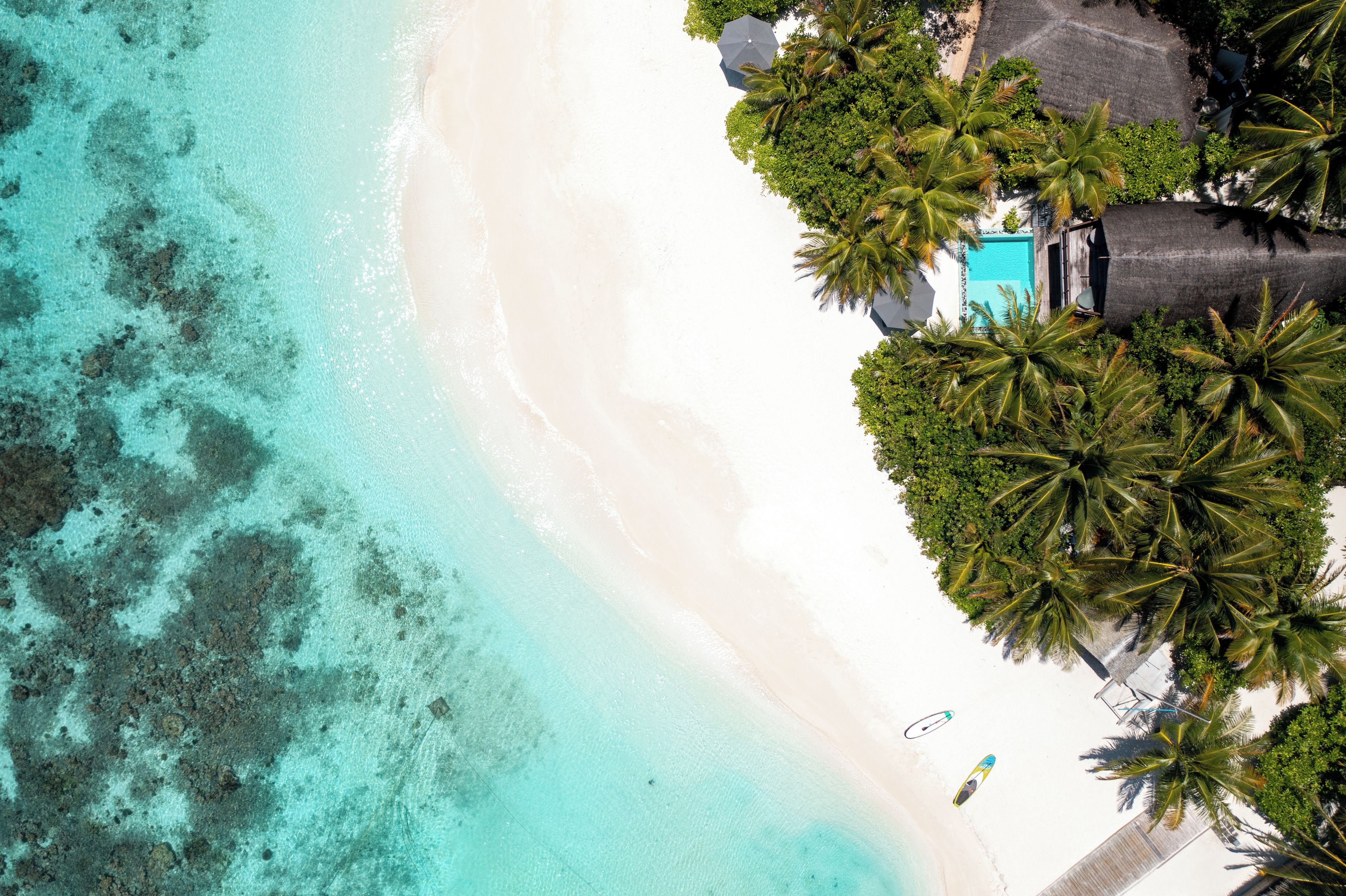 Vista aérea de una playa con aguas turquesas cristalinas, arena blanca y exuberantes palmeras.