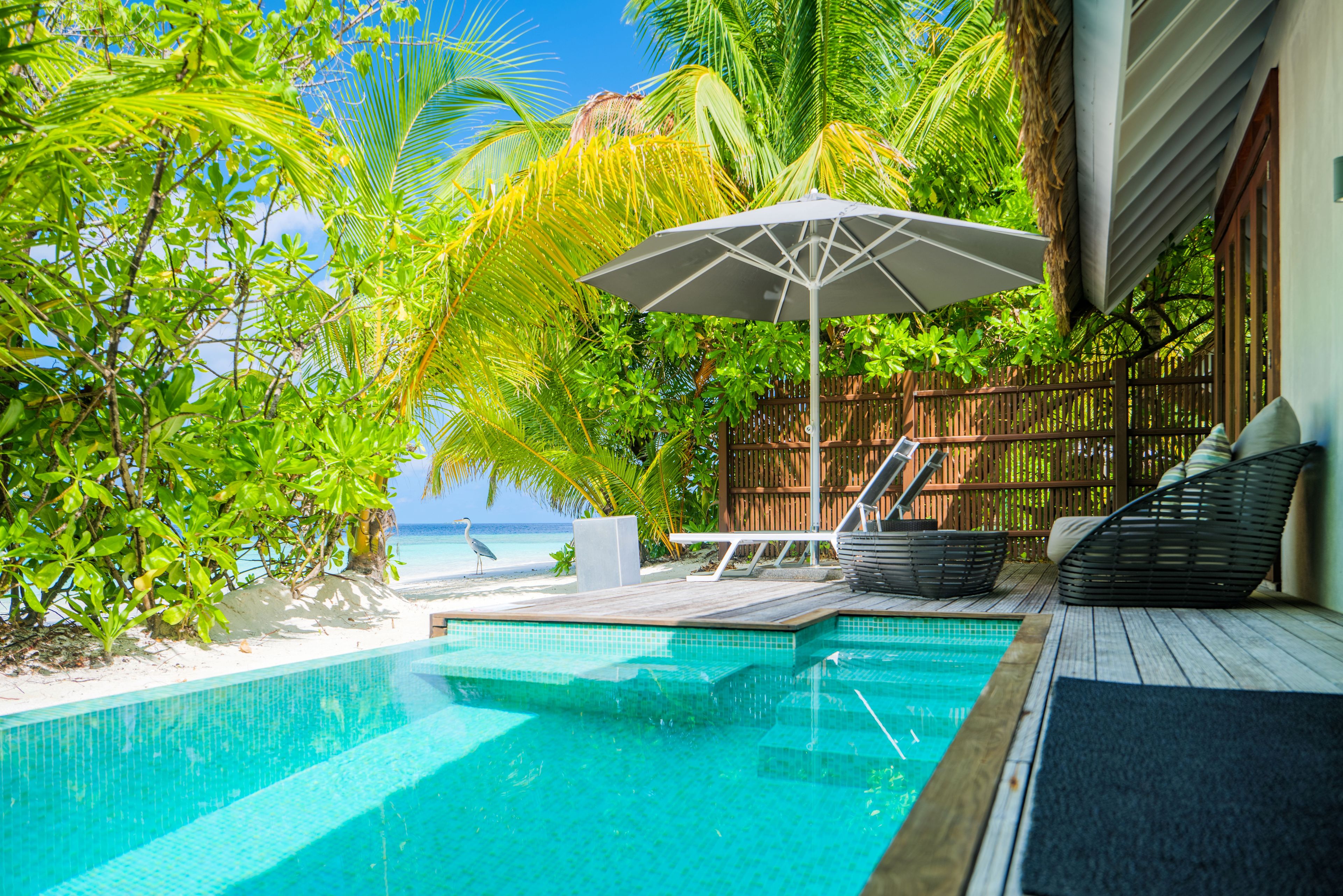 A clear blue pool with a wooden deck, lounge chairs, and an umbrella.