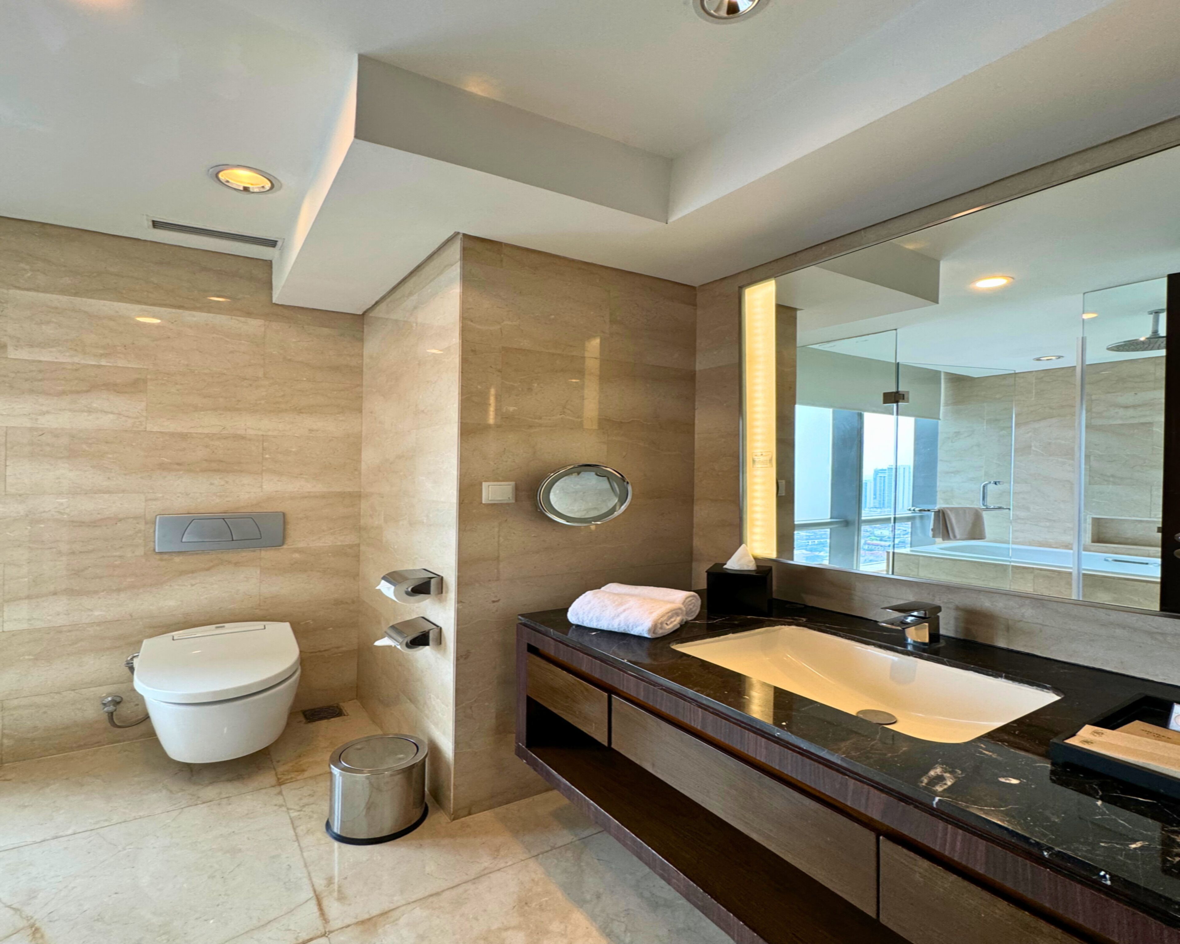 A modern bathroom with a toilet, sink, and large mirror.