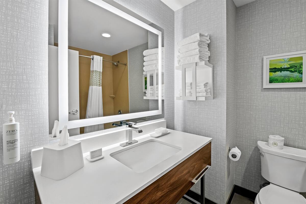 room, 1 king bed with sofa bed, refrigerator & microwave | bathroom | combined shower/bathtub, free toiletries, towels