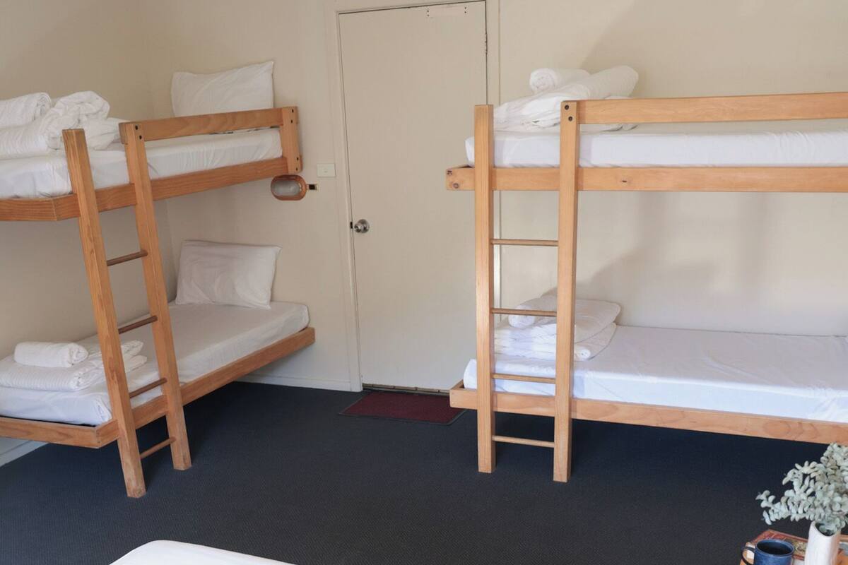 A room with bunk beds, a single bed, a door, a small table with a plant, and a rug.
