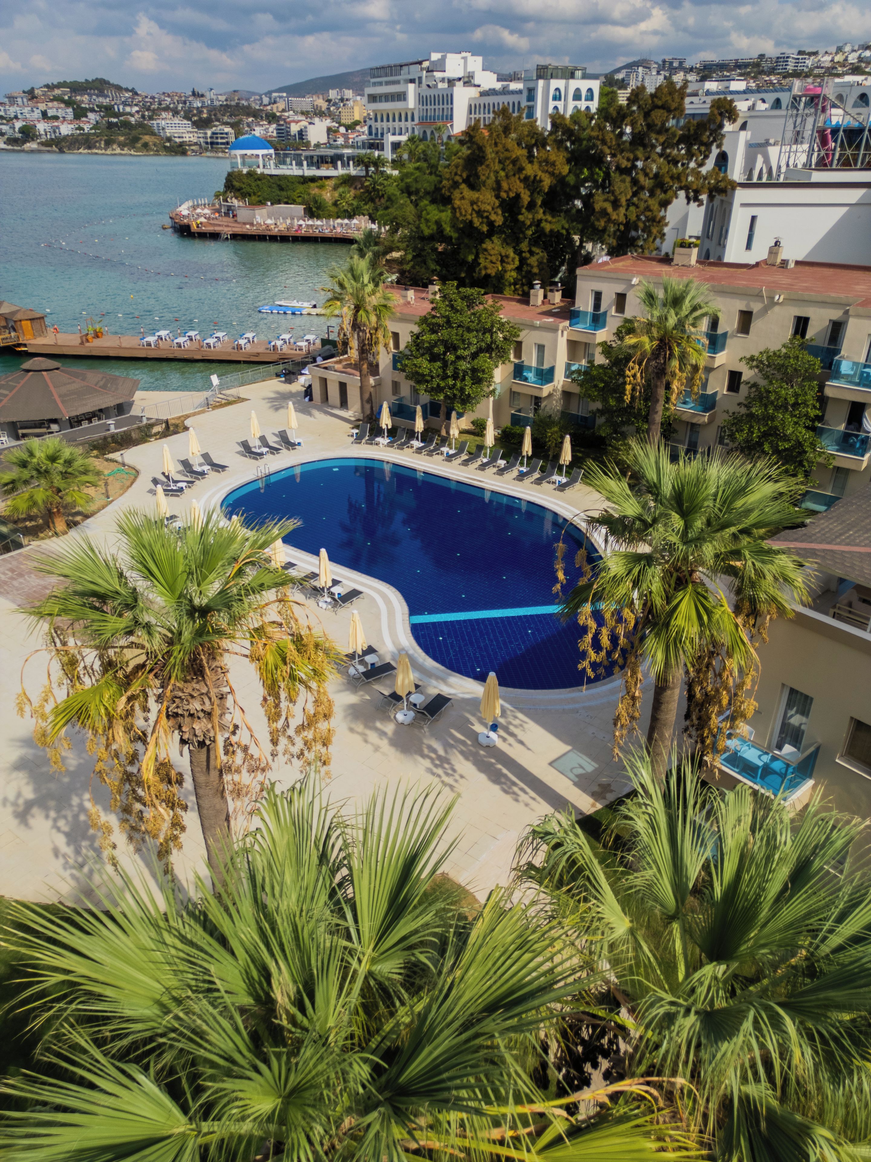A resort with a swimming pool, lounge chairs, and palm trees.