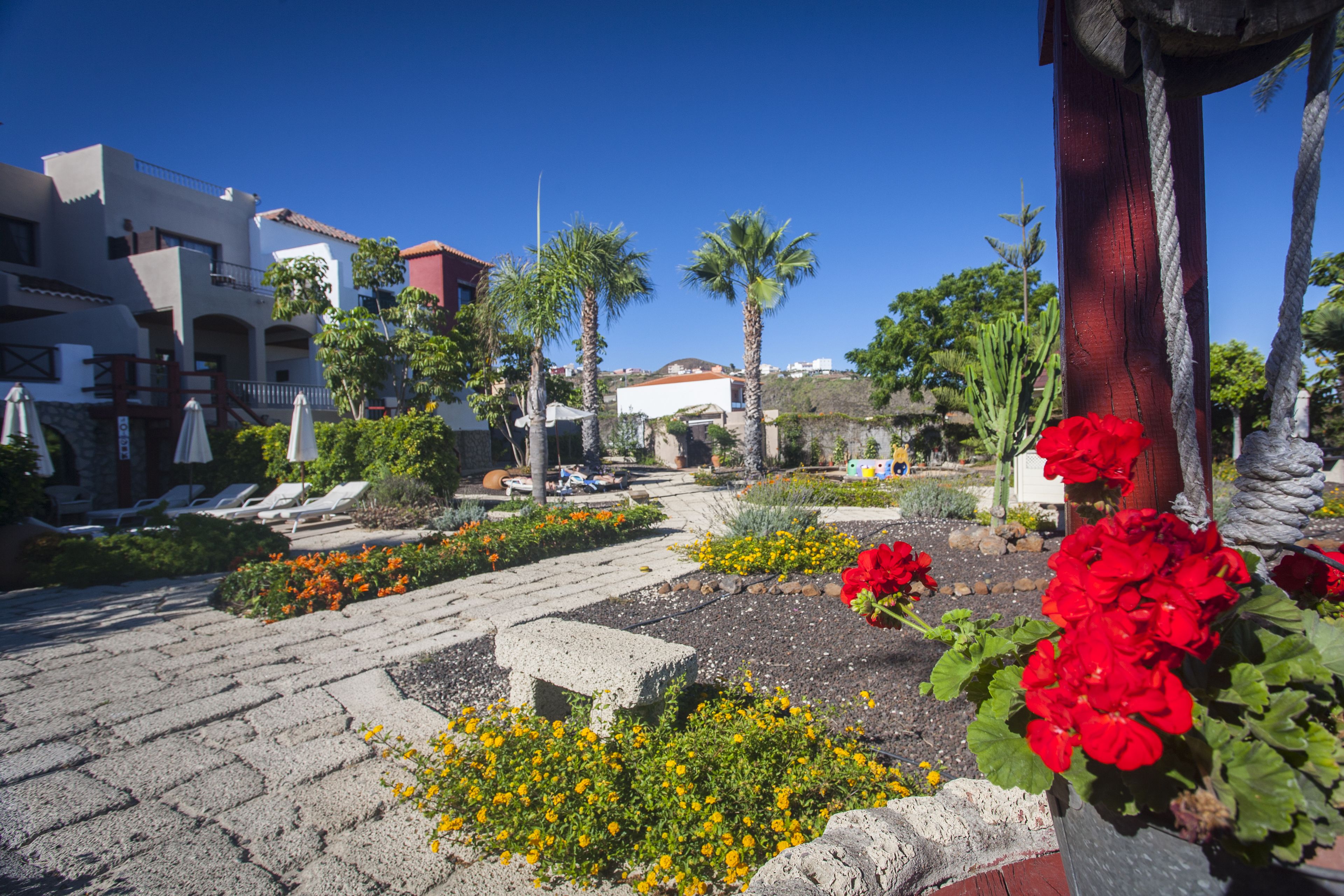 A courtyard with a paved walkway, palm trees, and a variety of flowers.