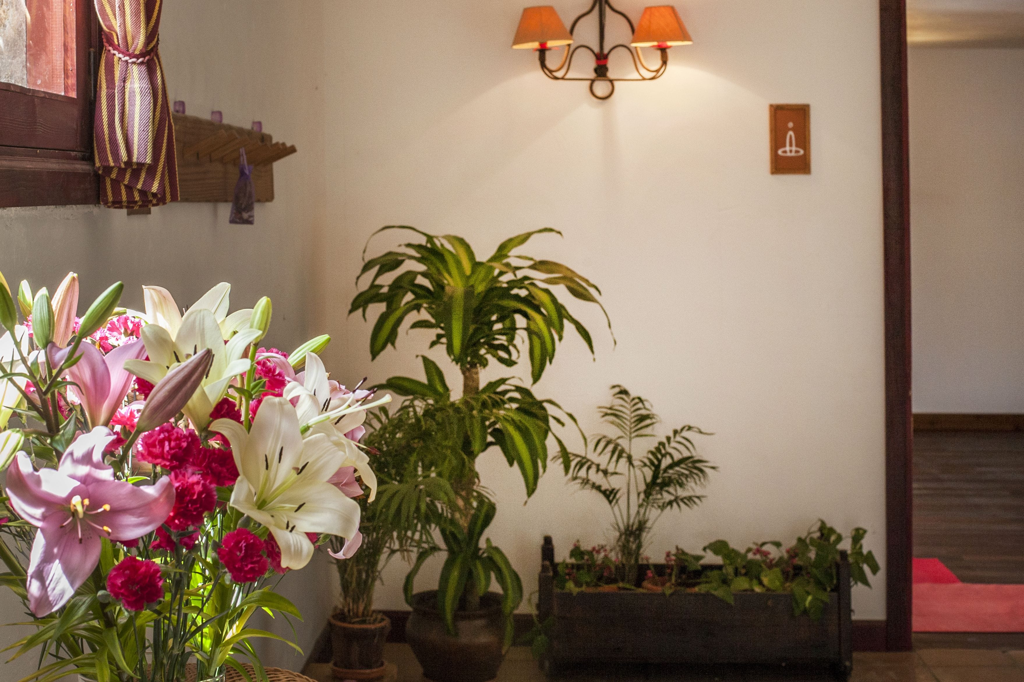 A room with a large floral arrangement, a potted plant, and a chandelier.