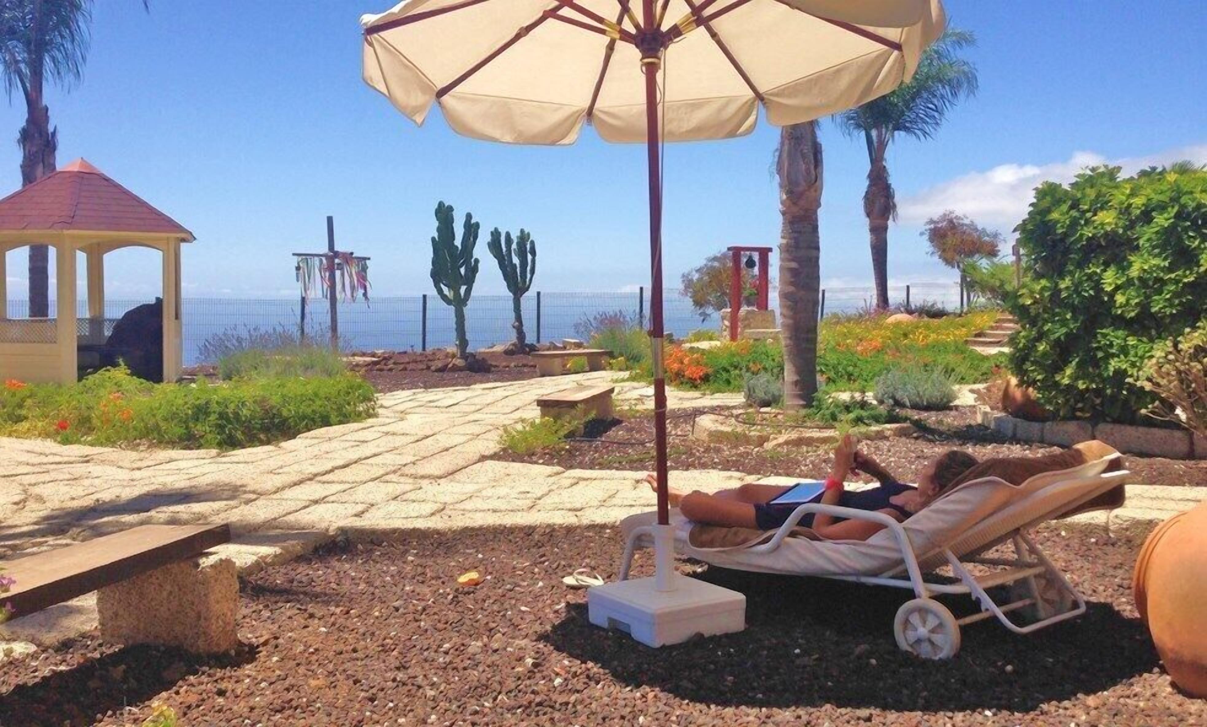 Un jardín con un camino empedrado, un porche y una silla de descanso bajo una sombrilla.
