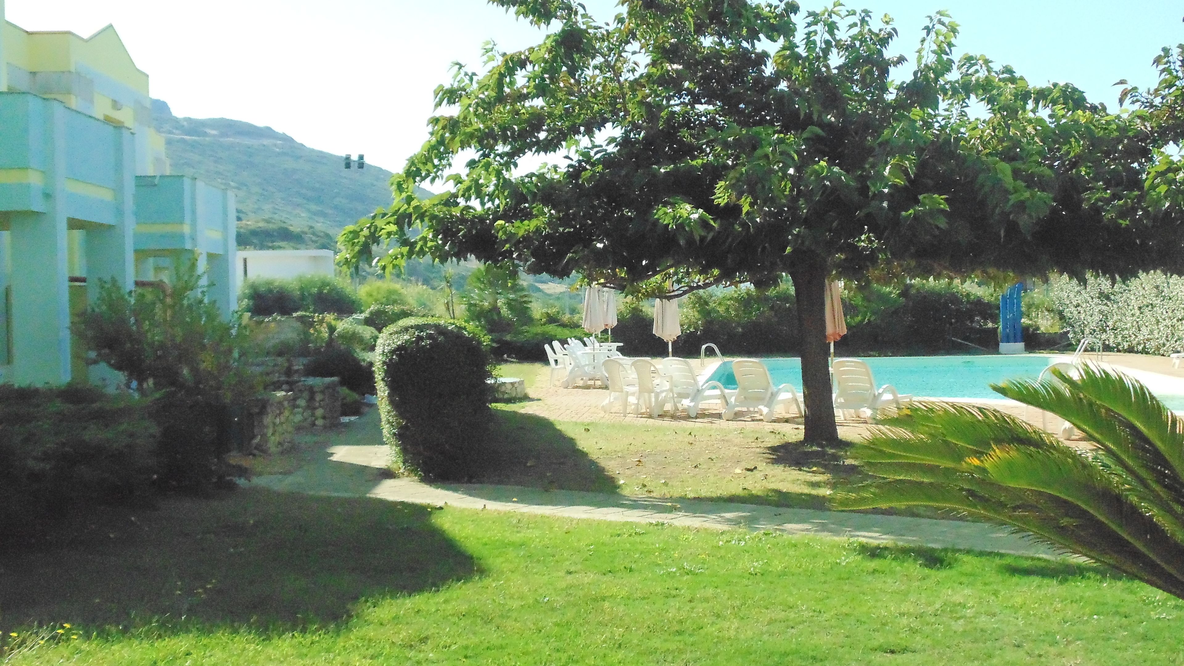 A poolside area with lounge chairs and umbrellas, surrounded by greenery and a building with a white facade.