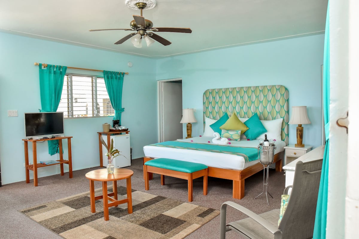 A room with a bed, a desk, a television, and a ceiling fan.