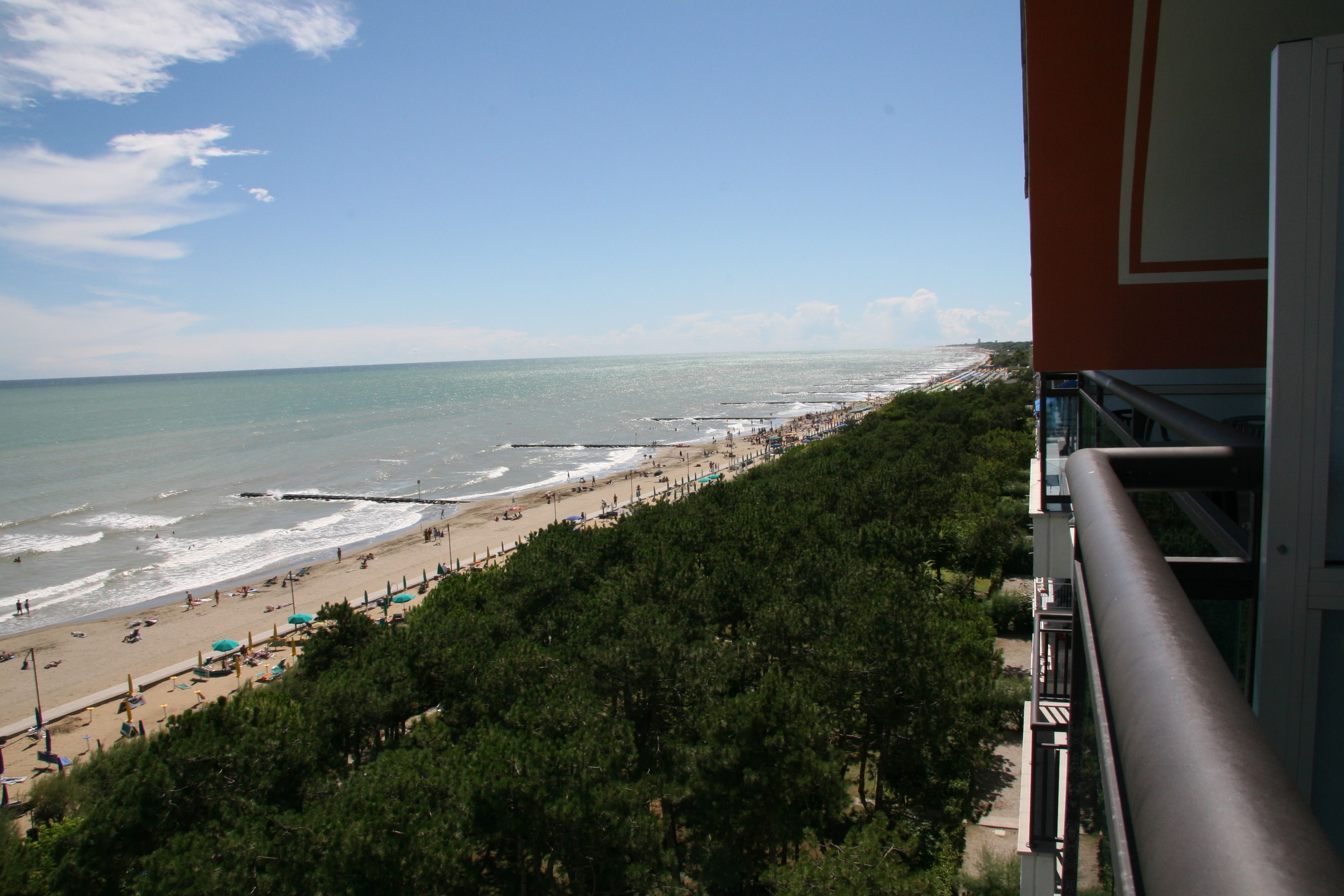 A beach with a view of the ocean and a forested area.