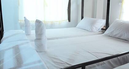 Mickey Hostel
