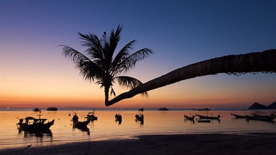 Lotus Paradise Resort