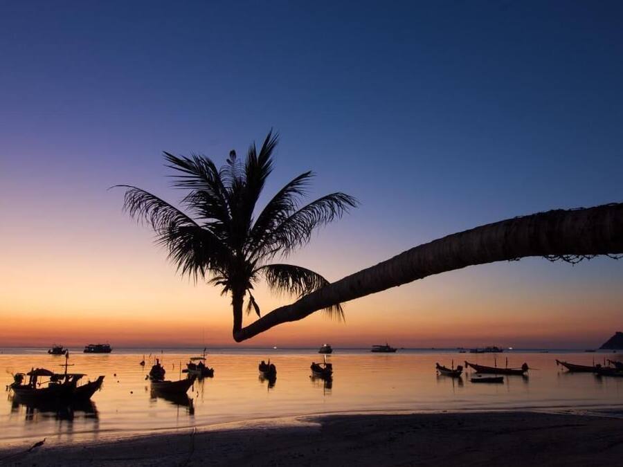 Un bar sulla spiaggia