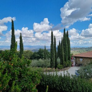 Apartment, 2 Bedrooms | View from room