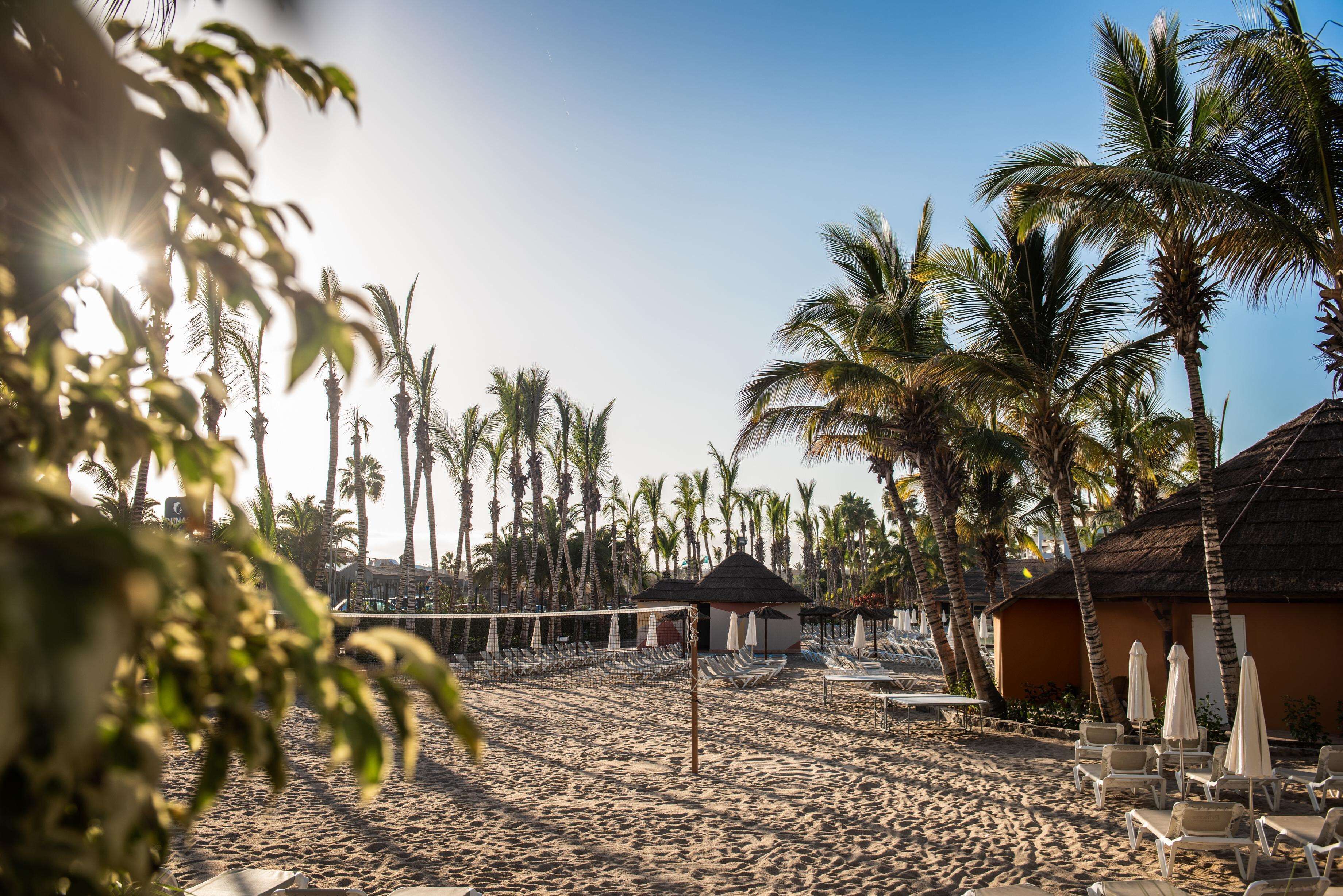 A beach with a volleyball net, palm trees, and beach chairs.