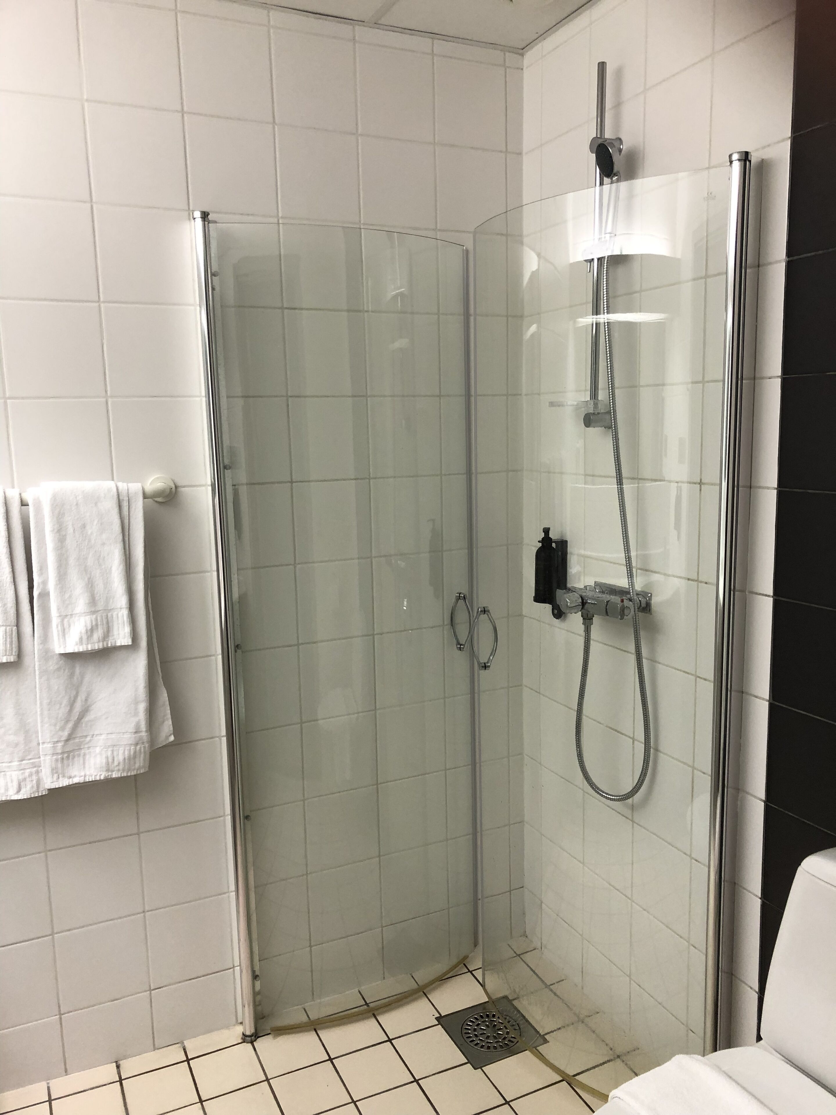 Shower, free toiletries, hair dryer, towels