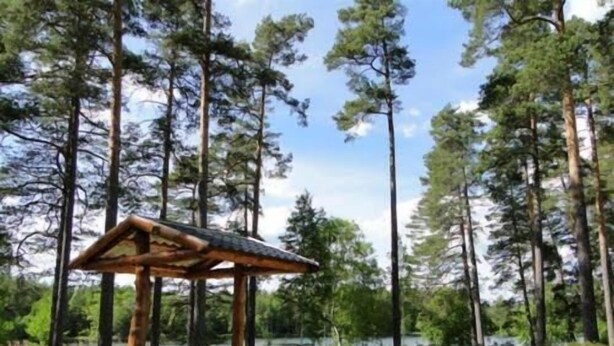 A wooden gazebo with benches in a forested area near a body of water.