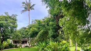 A lush garden with a pathway leading to a building with a porch. - Treeya Lanta (Ko Lanta)