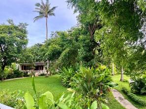 Garden - Treeya Lanta (Ko Lanta)