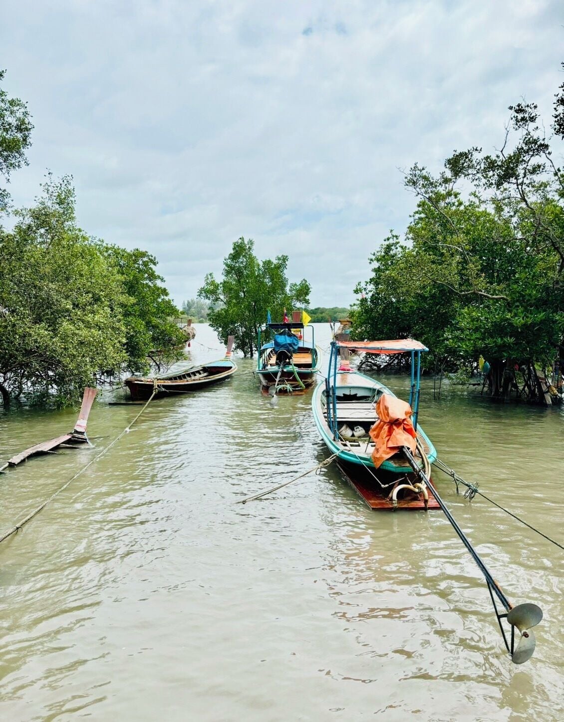 Photo - Treeya Lanta