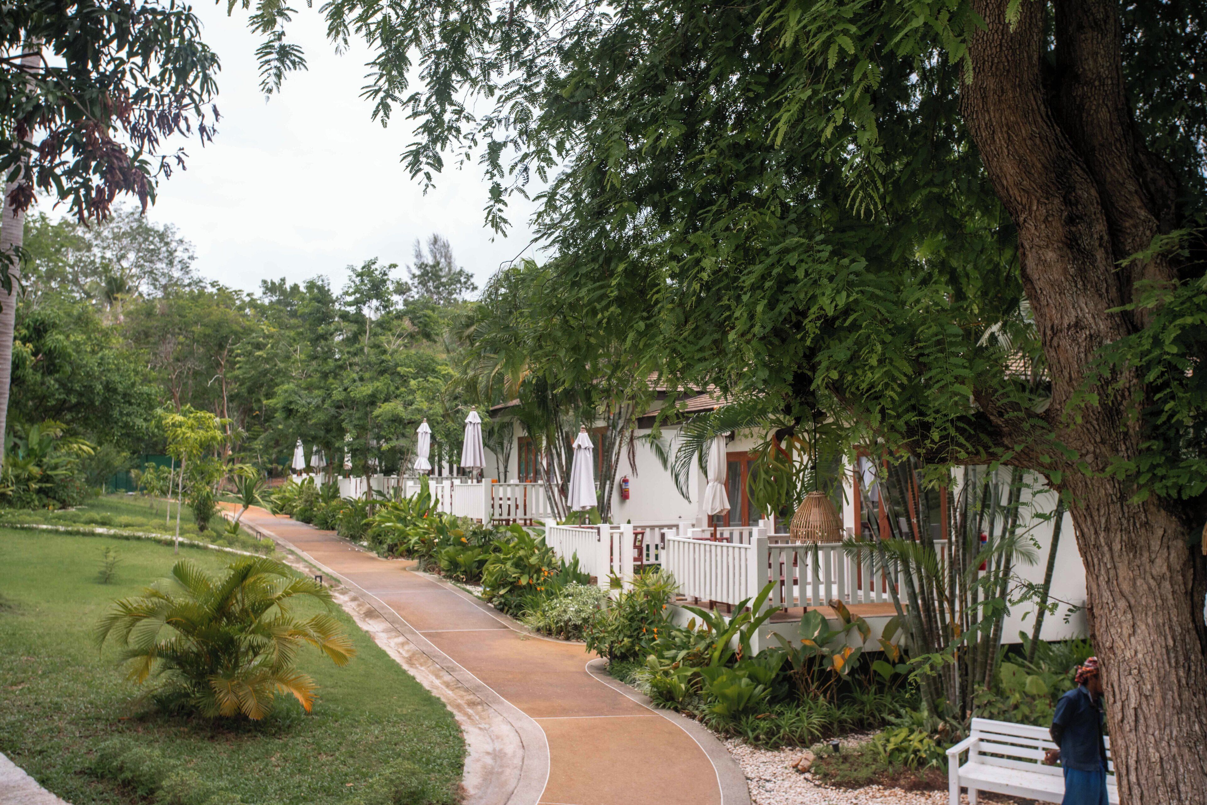 Photo - Treeya Lanta