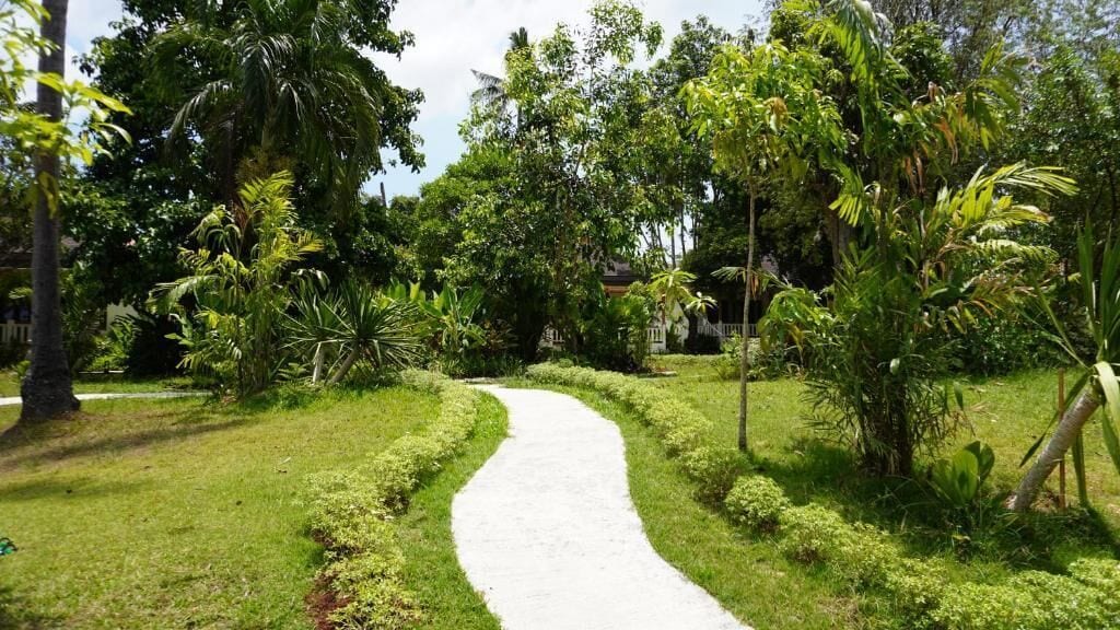 Un sendero serpentea por un exuberante jardín con diversas plantas y árboles tropicales.