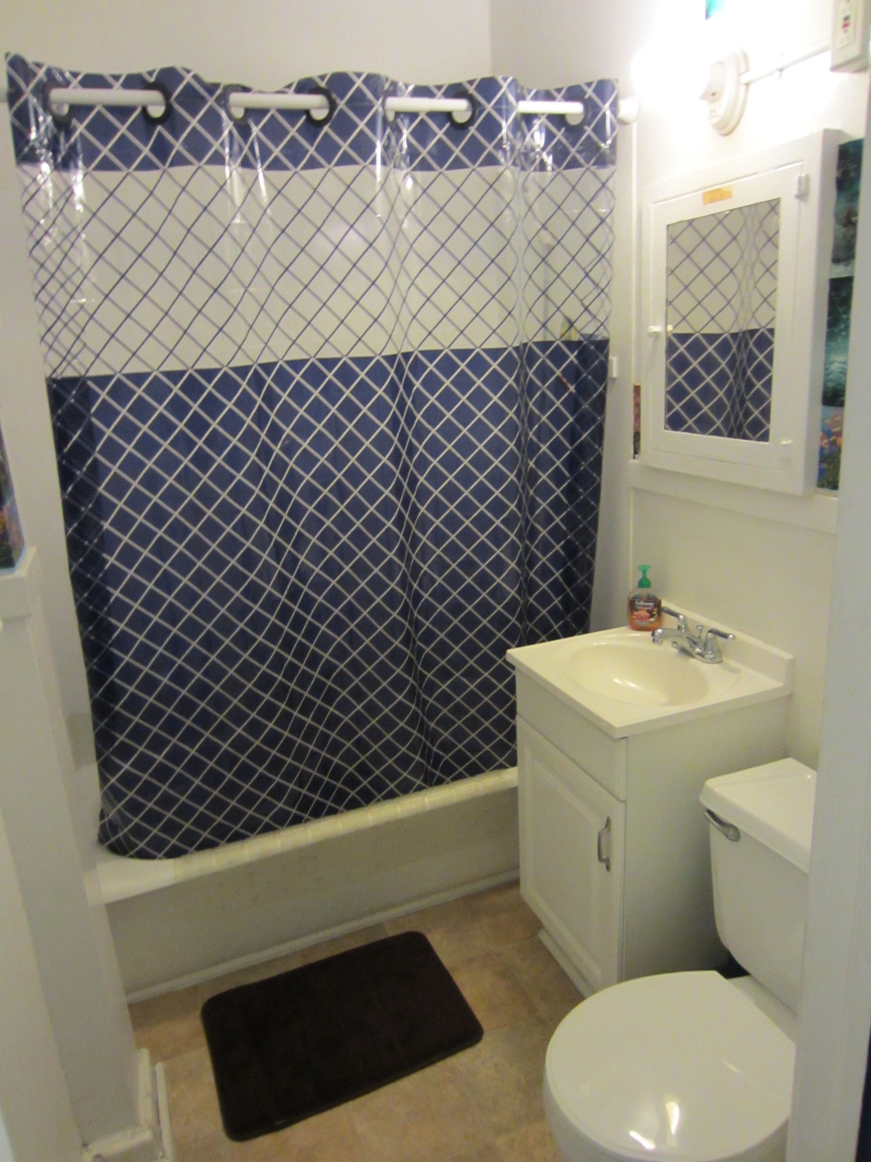 Une salle de bain avec un rideau de douche, un lavabo, un miroir et des toilettes.