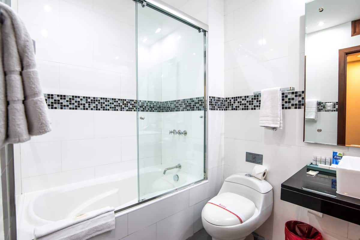 free toiletries, hair dryer, bidet, towels