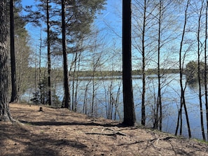 A forested area with a clear view of a lake.