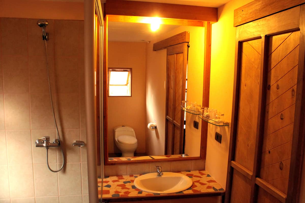 shower, free toiletries, hair dryer, towels