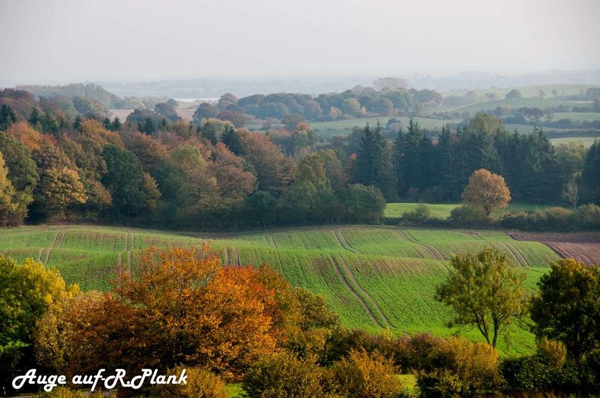 A rural landscape with rolling green fields and autumn-colored trees.