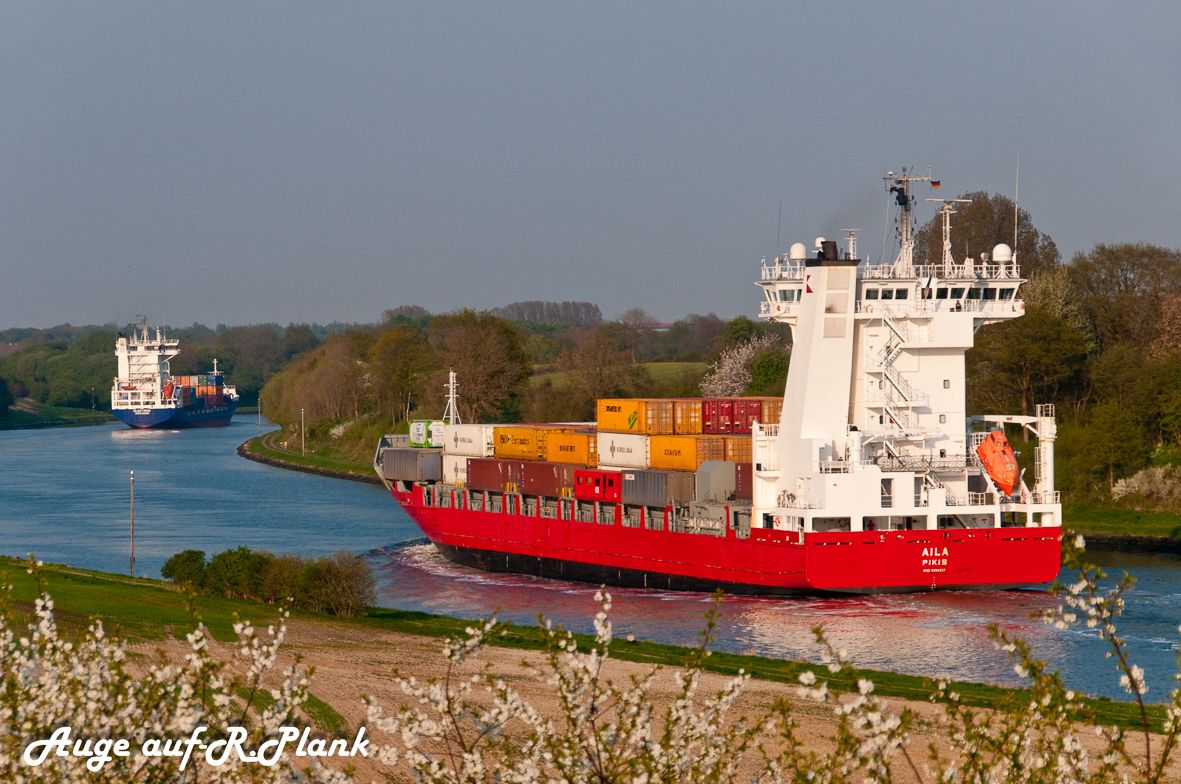 Un grand navire de transport de marchandises rouge, chargé de nombreux conteneurs, navigue sur une rivière.