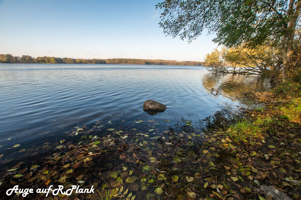 A calm lake with clear water, surrounded by trees and a rocky shore.