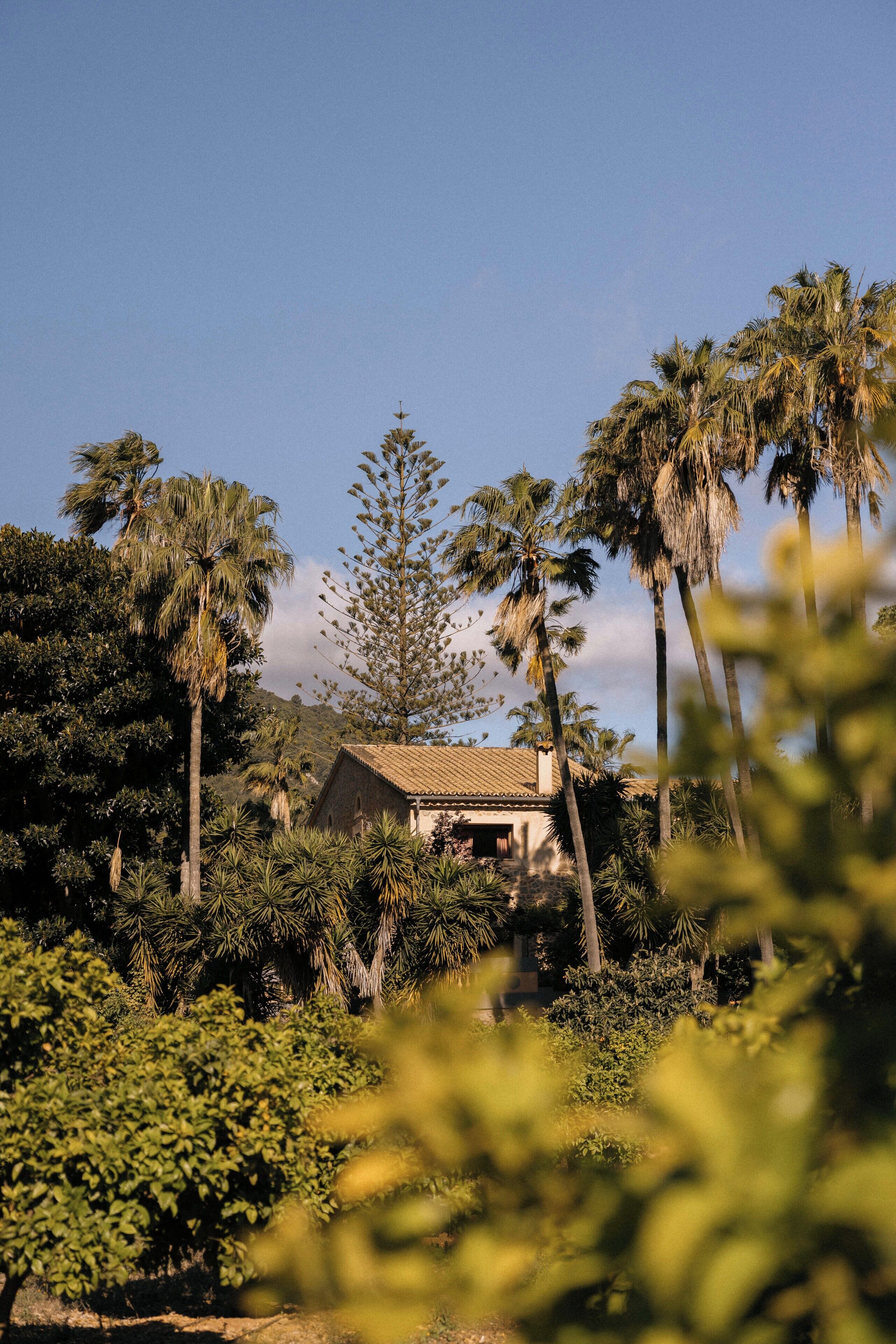 Foto - Agroturismo Son Galcerán