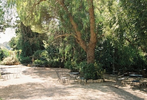Twin Room, Terrace, Garden View | Terrace/patio