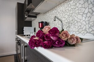 Apartment, 1 Bedroom | Private kitchen | Fridge, microwave, coffee/tea maker