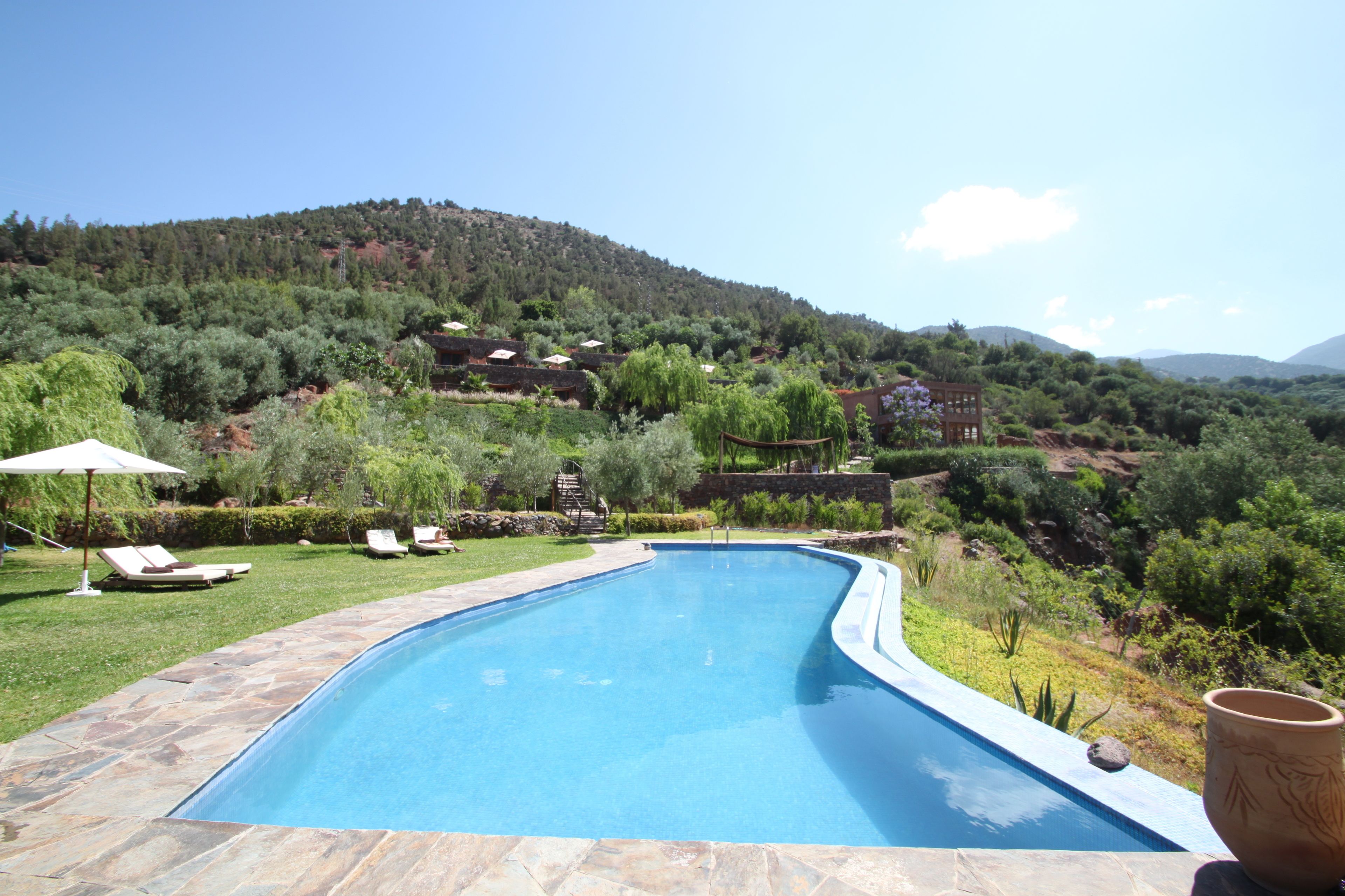 A swimming pool with a stone border, surrounded by a lawn with lounge chairs and umbrellas.