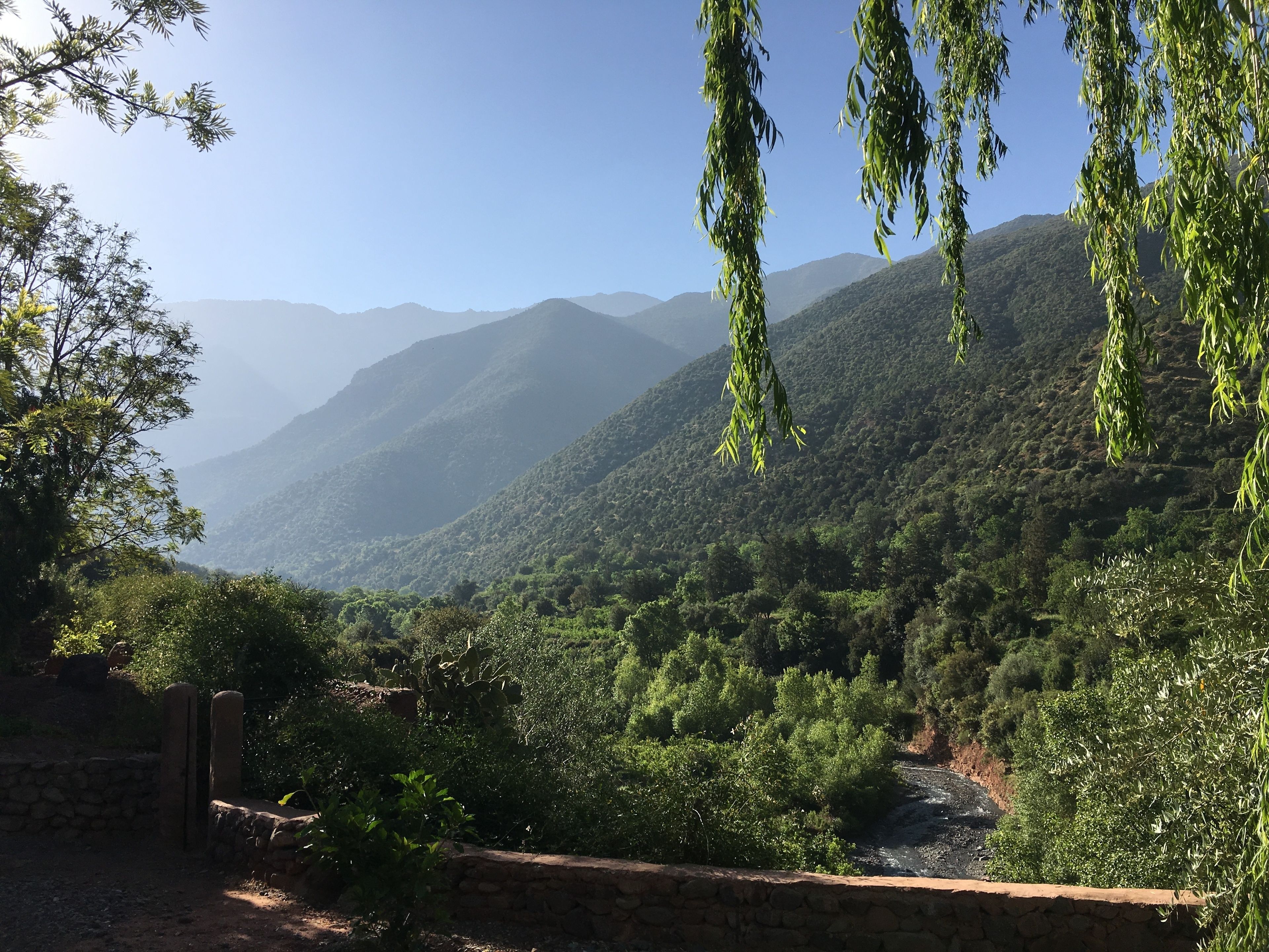 A mountainous landscape with dense greenery and a clear sky.