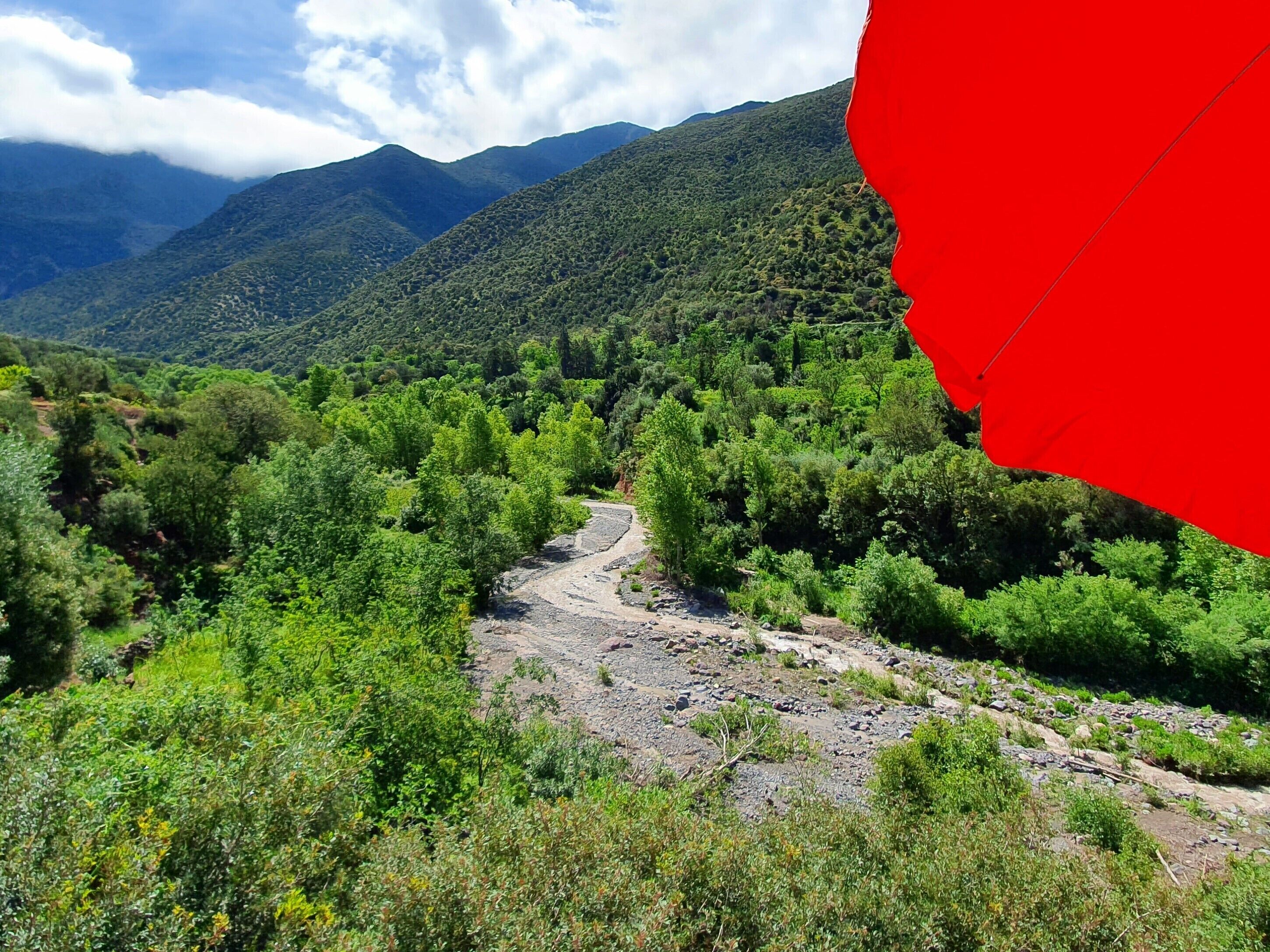 Un paisaje montañoso con un camino sinuoso a través de abundante vegetación.