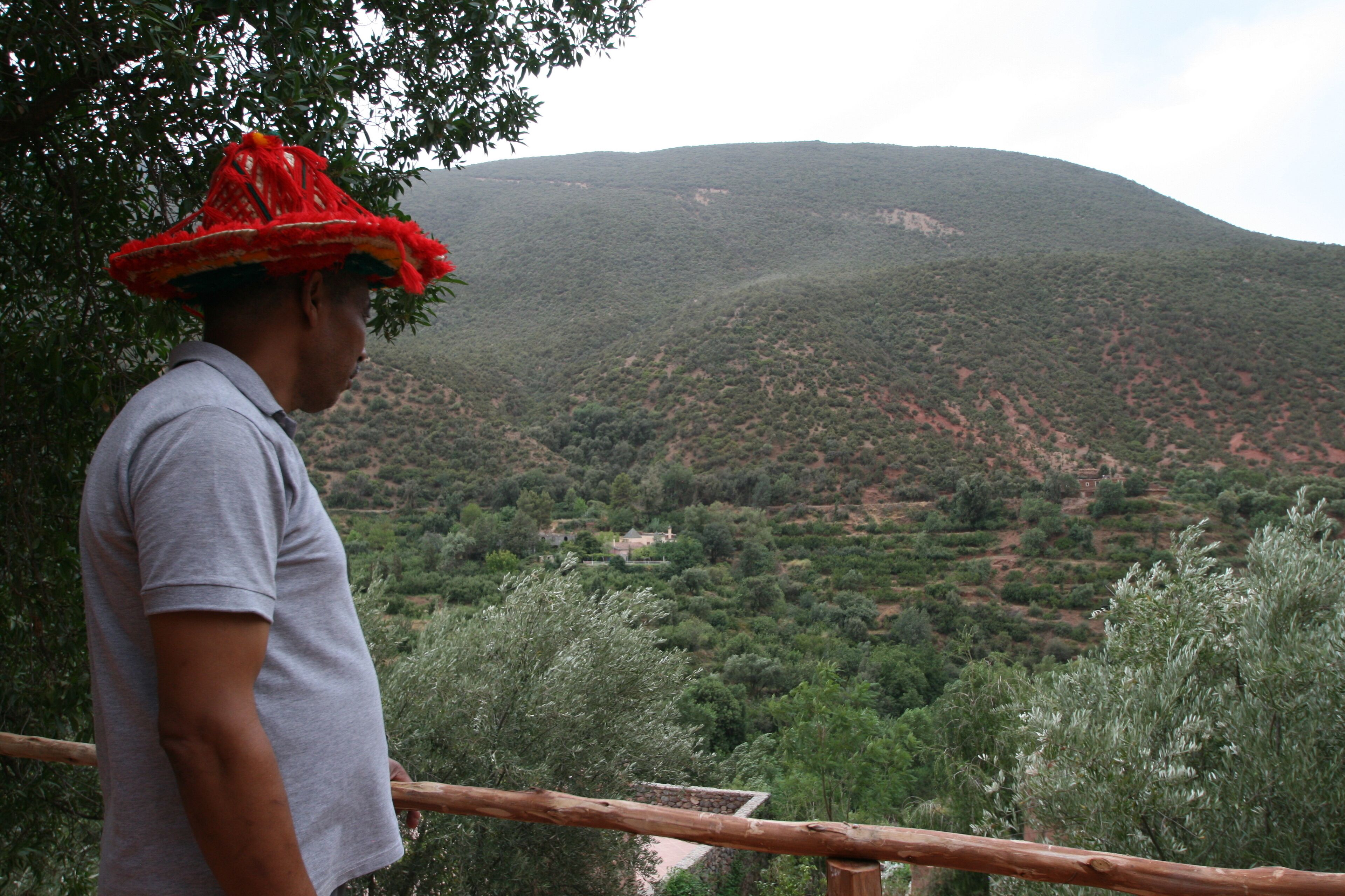 A person standing by a railing overlooking a mountainous landscape with dense vegetation and a few scattered buildings.