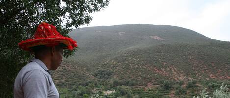 A person standing by a railing overlooking a mountainous landscape with dense vegetation and a few scattered buildings.