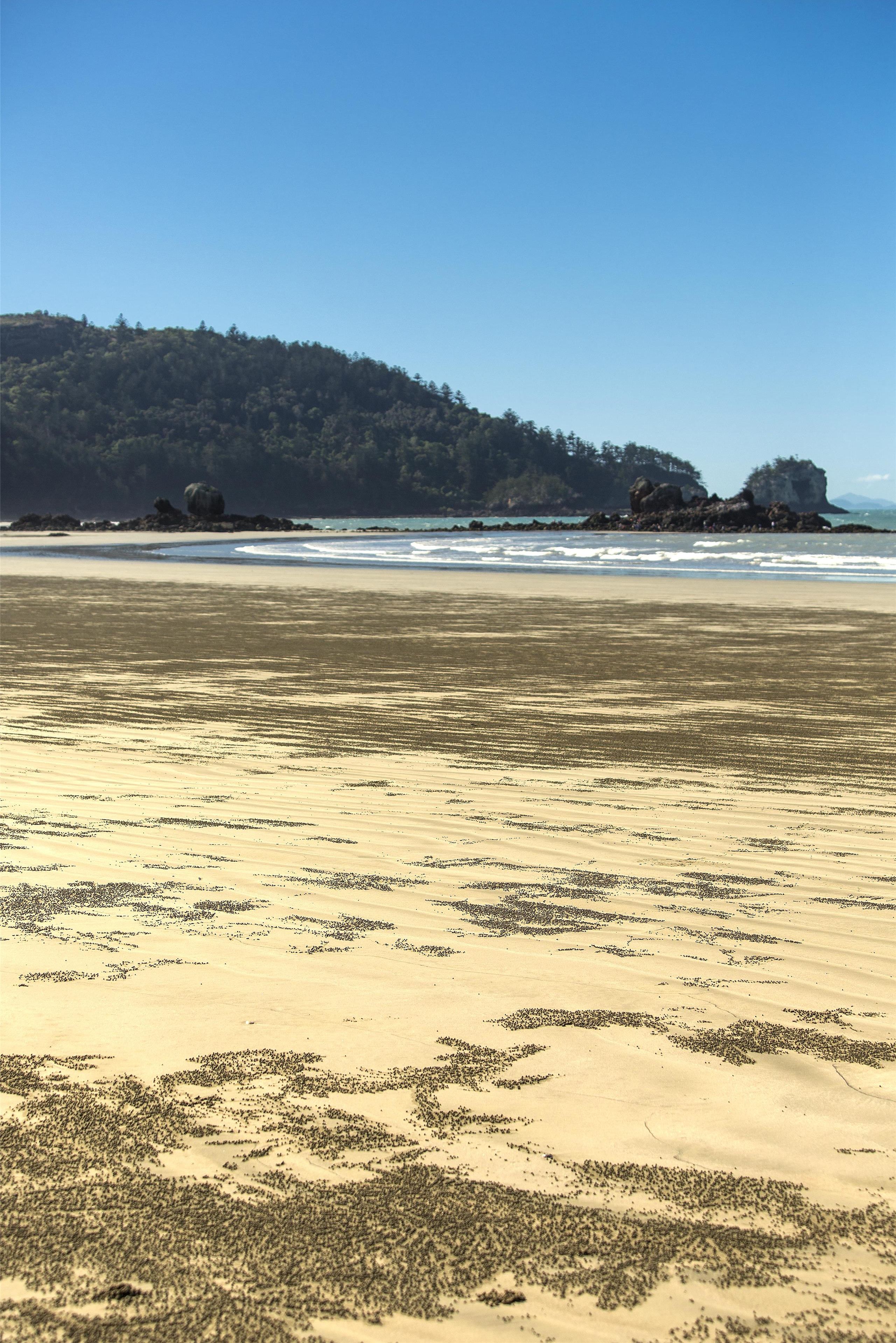 Playa